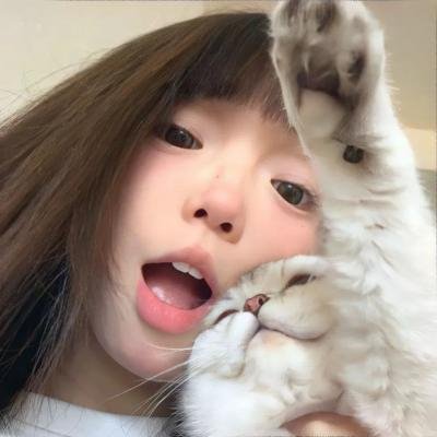 金城档案
