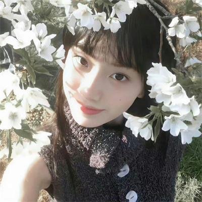 艳阳春色